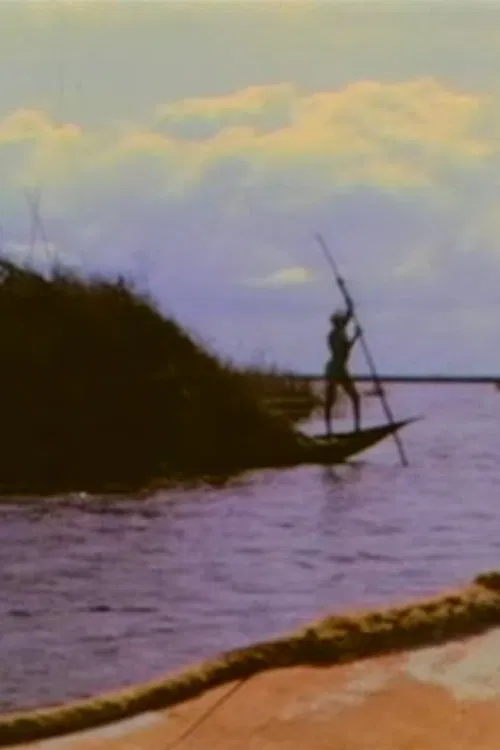 Poster do filme Electric Fragments No. 5 - Africa