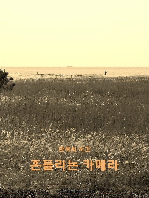 wandering camera movie poster