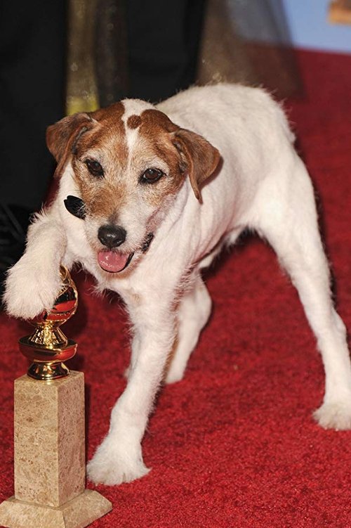 Uggie profile picture