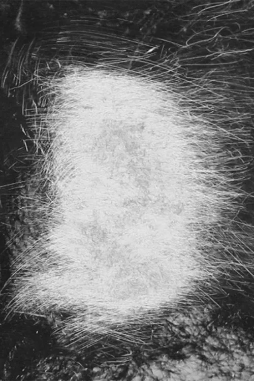 Rosebud movie poster