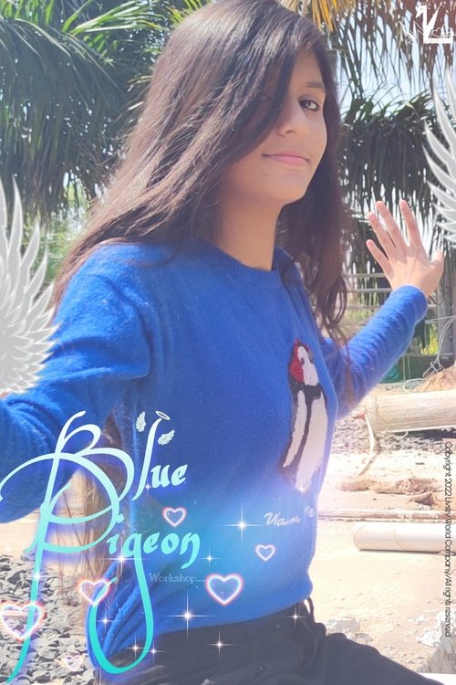 Blue Pigeon Workshop movie poster