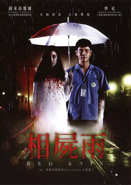 Love Rain movie poster