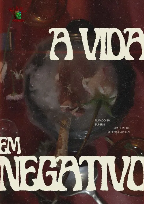 A Vida em Negativo movie poster