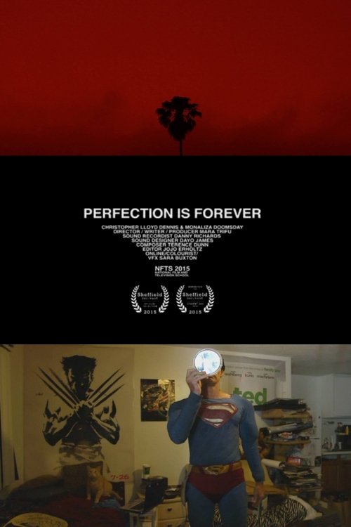 Perfection Is Forever movie poster