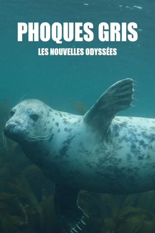 Grey Seals: A Journey of Survival movie poster