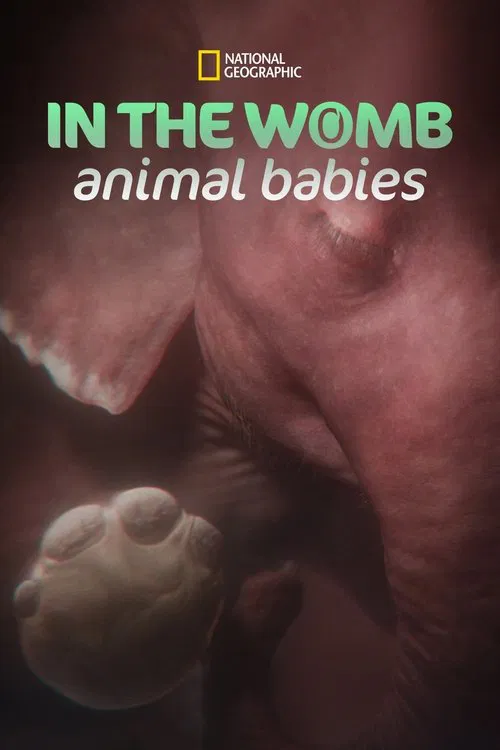 In the Womb: Animal Babies tv show poster