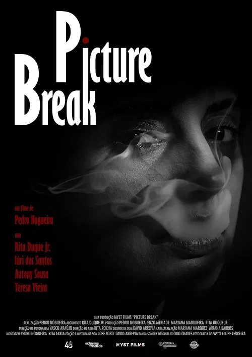 Picture Break movie poster