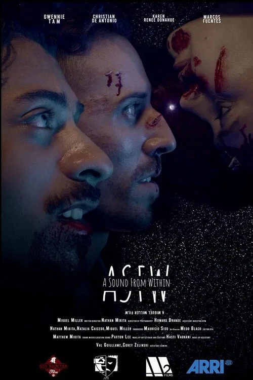 A Sound from Within movie poster