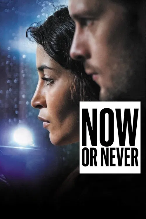 Now or Never movie poster