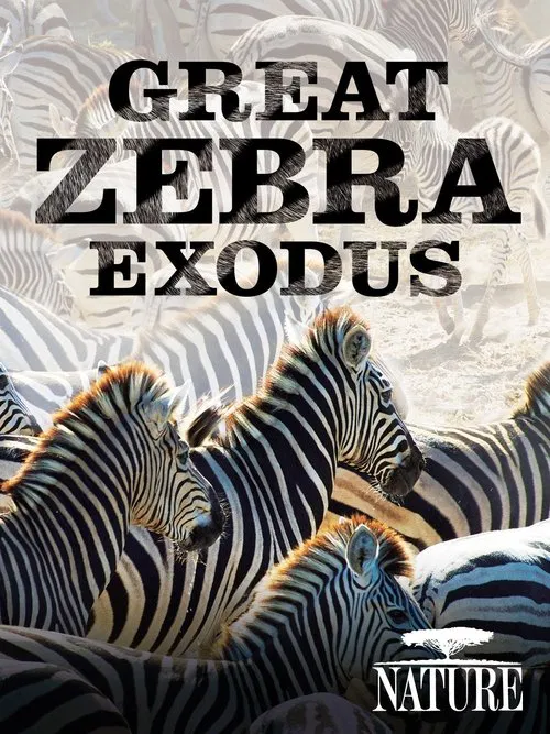 Nature: Great Zebra Exodus movie poster