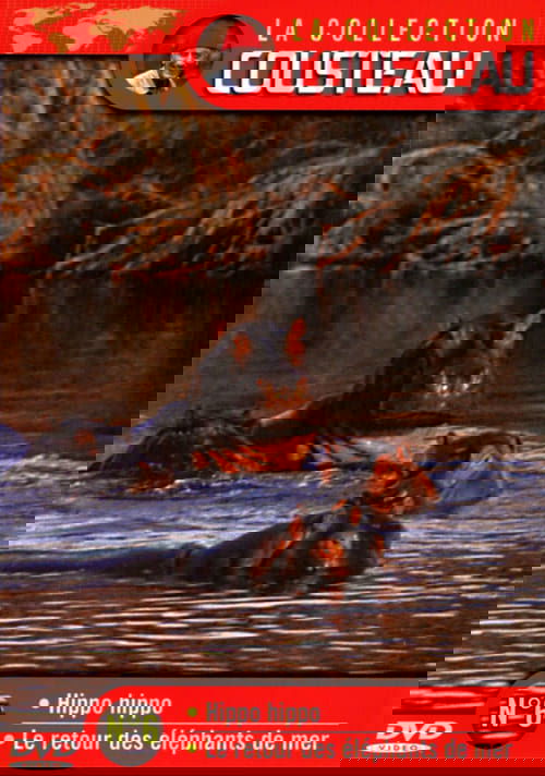 The Cousteau Collection N°6-1 | Hippo, Hippo movie poster