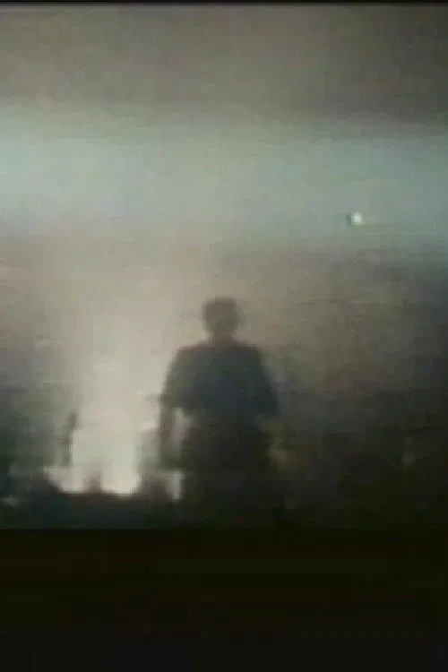 Laibach: The Platform movie poster