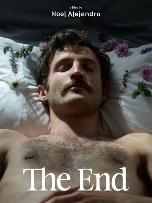 The End movie poster