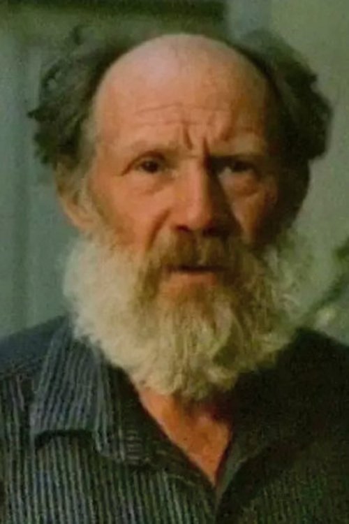 Mikhail Brylkin profile picture