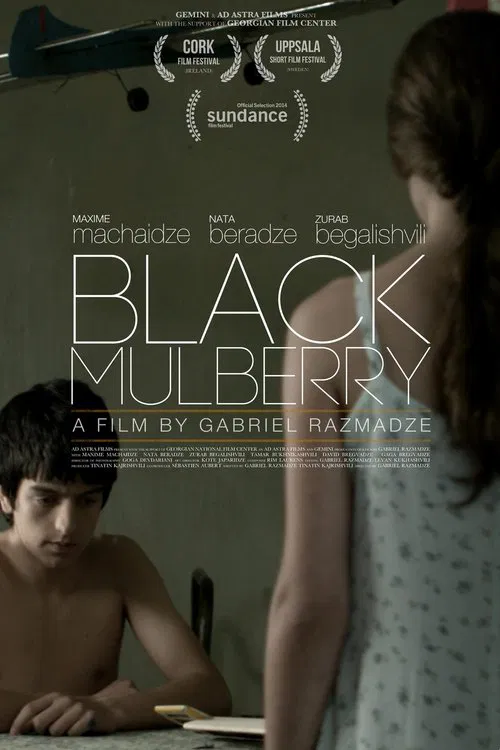 Poster do filme Black Mulberry