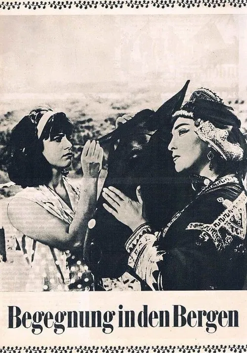 Meeting in Mountains movie poster