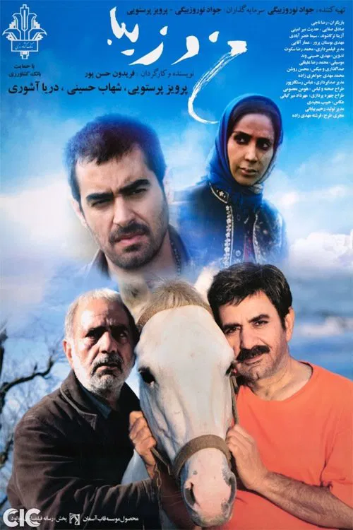 Ziba and I movie poster