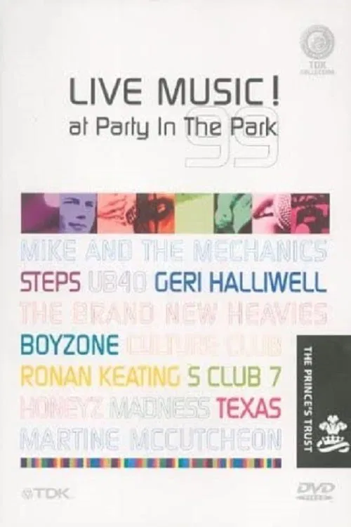 Party in the Park 1999 movie poster