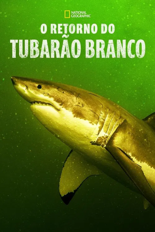 Poster do filme O Retorno do Tubarão Branco