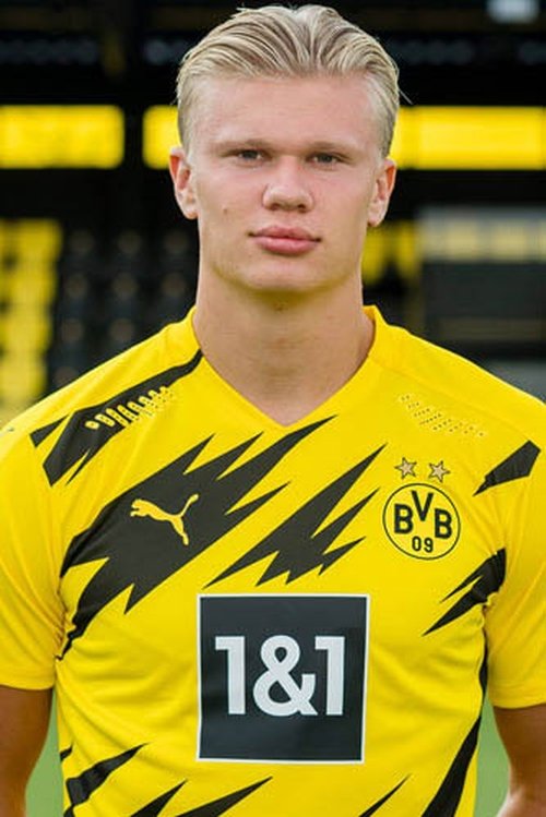 Erling Haaland profile picture
