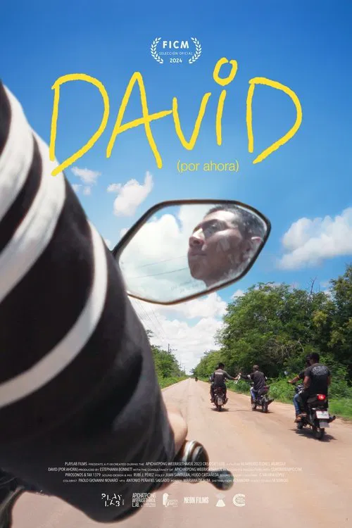 Poster do filme David (For Now)