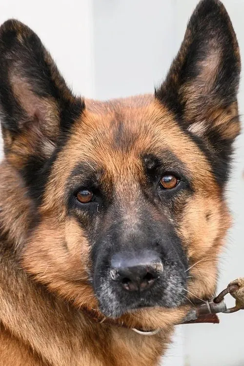 Lili profile picture