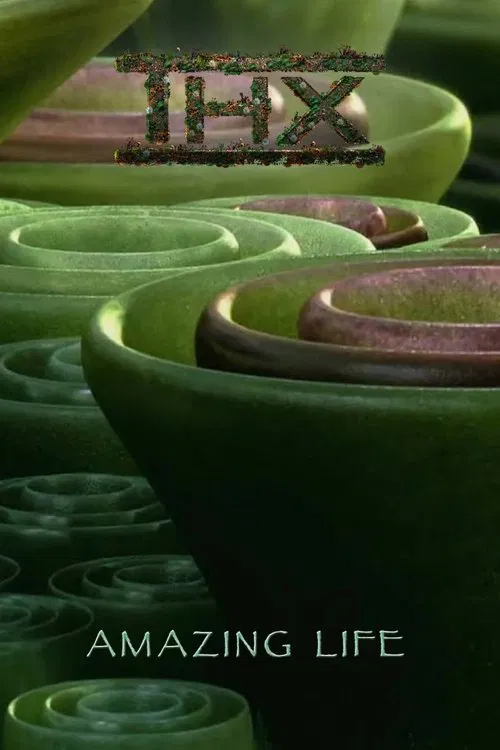 THX Amazing Life movie poster