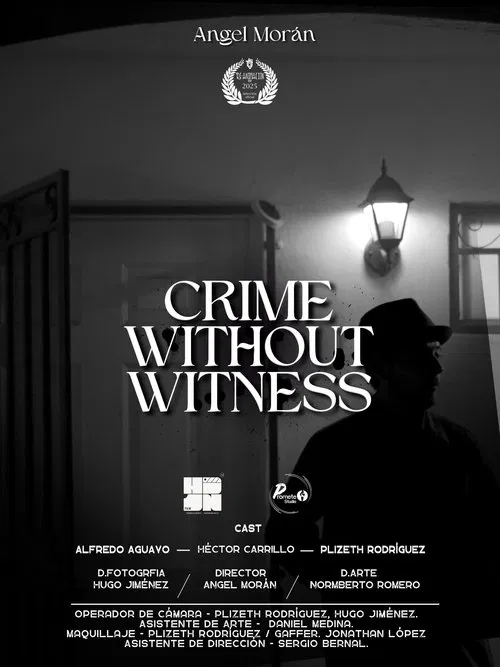 Crime Without Witness movie poster