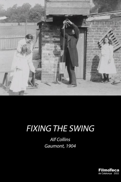 Fixing the Swing movie poster