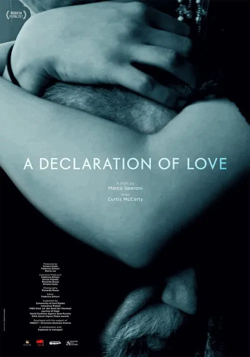 A Declaration of Love movie poster
