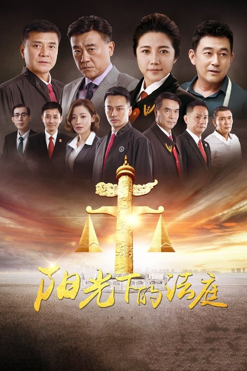阳光下的法庭 tv show poster