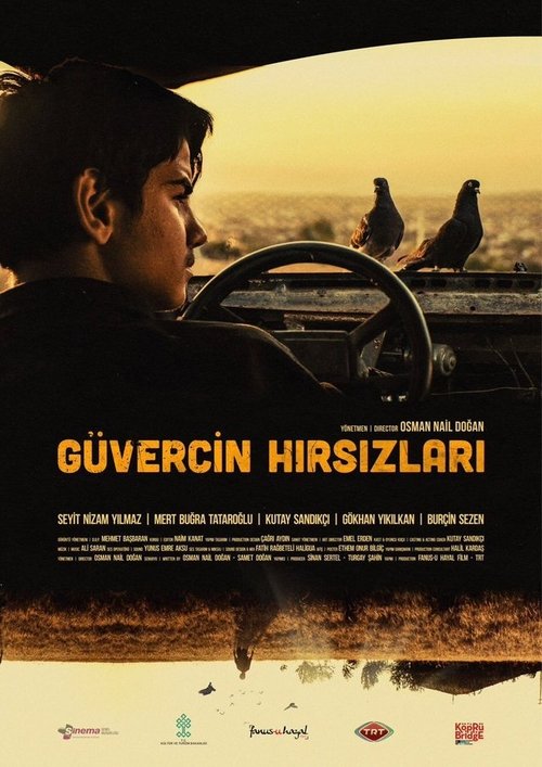 The Pigeon Thieves movie poster