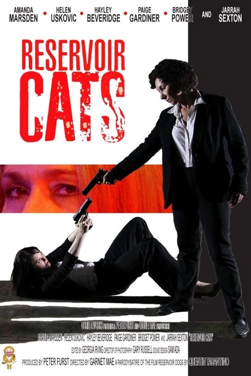 Reservoir Cats movie poster