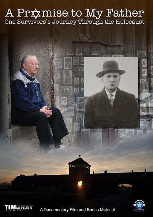 Poster do filme A Promise to My Father
