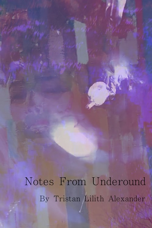 Notes From Underground movie poster