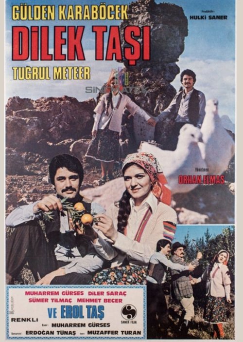 Dilek Taşı movie poster