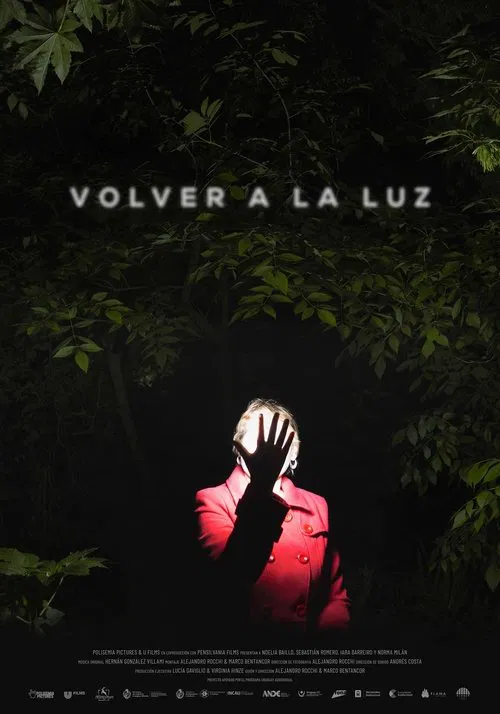 Back to the light movie poster