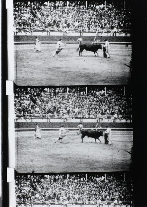 Corrida movie poster
