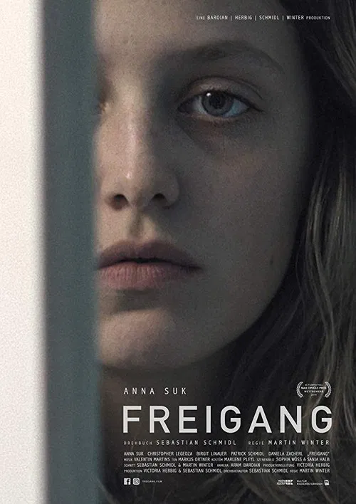 Freigang movie poster