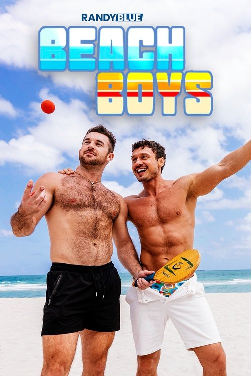 Beach Boys tv show poster