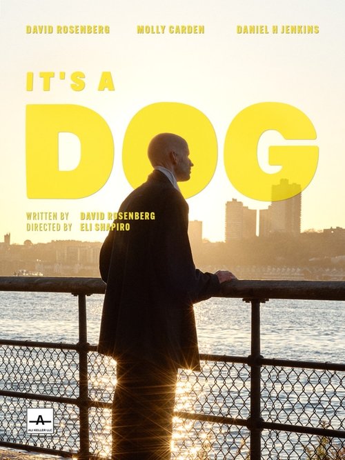 It's a Dog movie poster