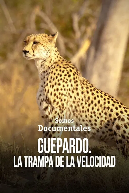 Cheetah – Speed Trap movie poster