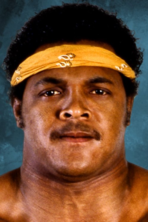 Bruce Reed profile picture
