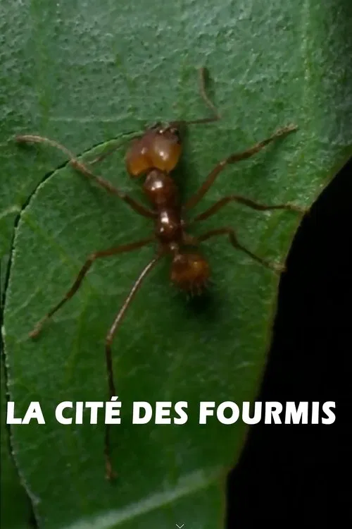 La cité des fourmis movie poster