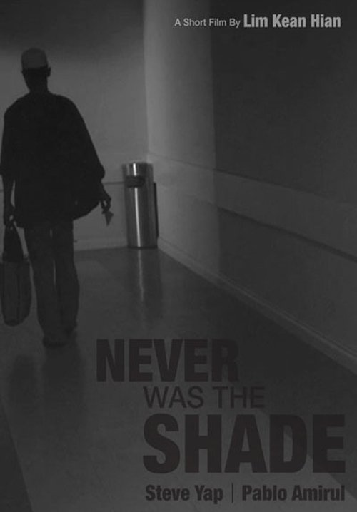 Never Was The Shade movie poster