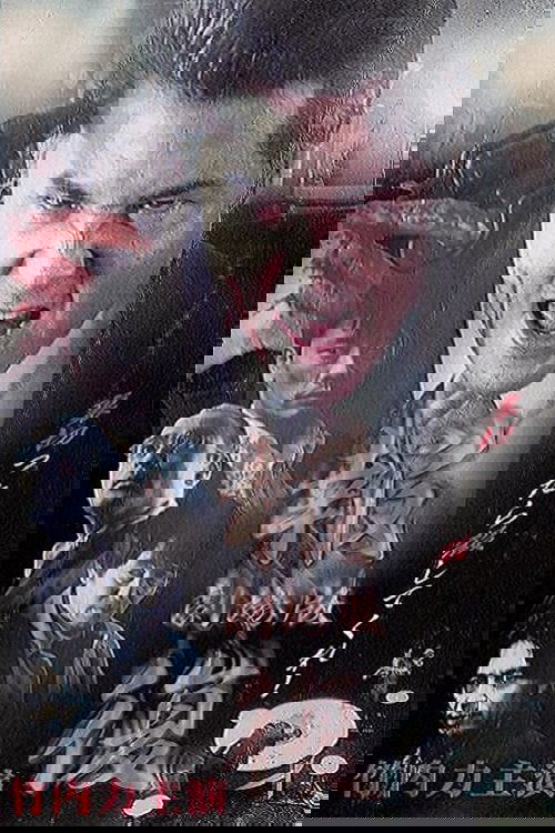 Revenge movie poster