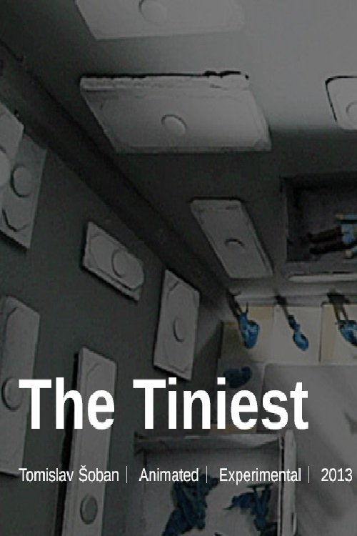 Poster do filme The Tiniest