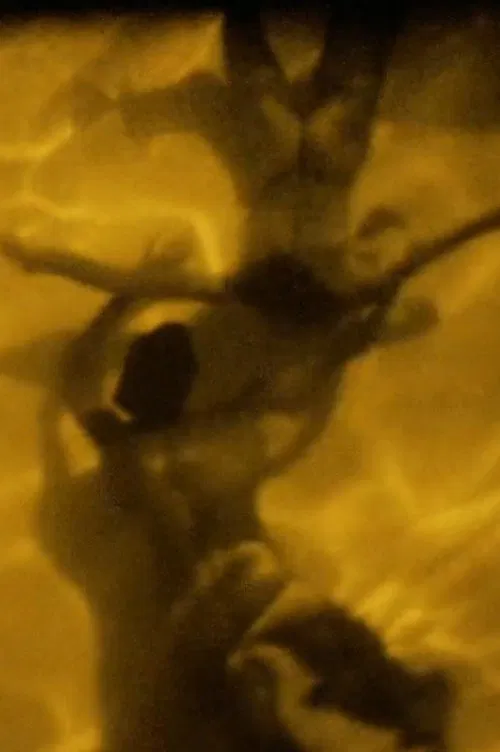 Elevation movie poster