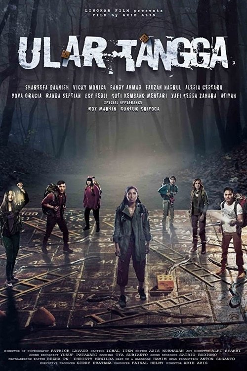 Snakes & Ladder movie poster