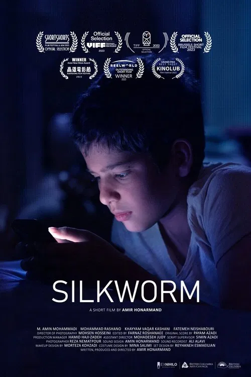 Poster do filme Silkworm